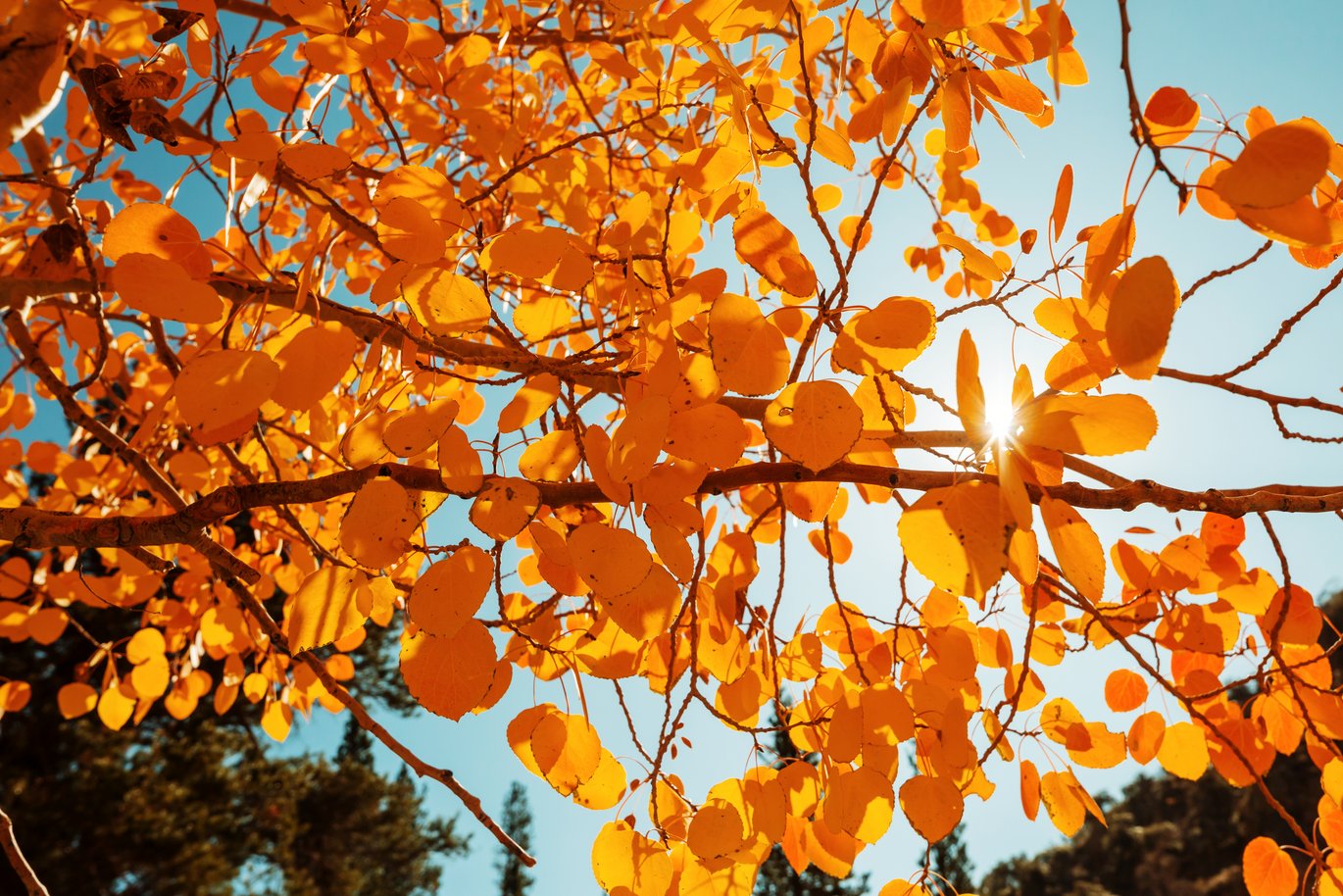 [Translate to English:] 